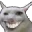 onelove_tharki_cat_smile