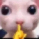 shut