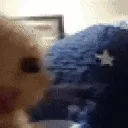 AL_aCatSleepyHuh