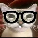 Nerd Cat Nerd_Cat Discord Emoji