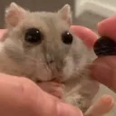 fear