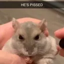 kill