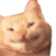 :keqing: