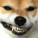 HEHE