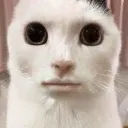 emoji_20