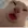 freaky_cat1