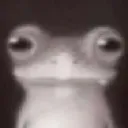 wuh