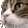 Discord Emote catutzutz: