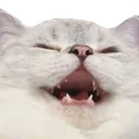 catKEK