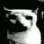 catDespair catDespair