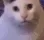 HUH