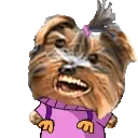BBWiggle