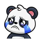 PandaCrying