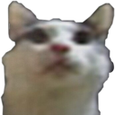 dsoulscat Discord emoji