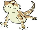 beardie