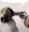 dogandgun