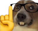dognerd Discord emoji