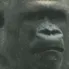 zconcerned