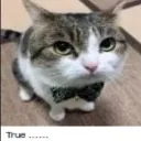 emoji_74