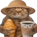 frenchcat