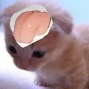 smoovebrain