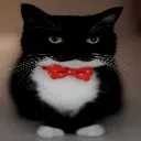 uni_dapper uni_dapper