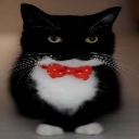 :uni_dapper: