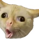 emoji_2