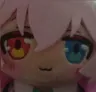 hoshinoplush