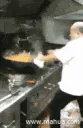 cooking cooking
