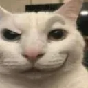 catsus