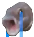 FishPogCry