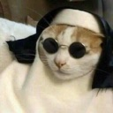 catt Discord emoji