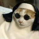 catt
