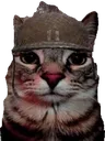 3000yards_cat_edition Discord Emoji