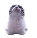 catseal