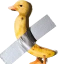 nana_duck