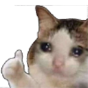 yaysobbing Discord emoji
