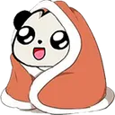 Pandacozy