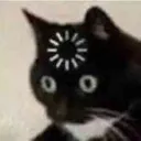 Cat Wtf catwtf Discord Emoji