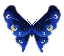 Duskwing_Butterfly