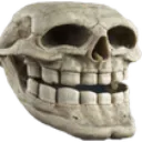 Troll Skull troll_skull Discord Emoji