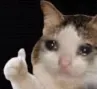 okiiiiiiiiiiiiiiiiiii
