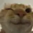 1192467529461940244.webp