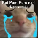 cry_pakistan Discord Emoji
