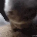 chipichipi_chapachapa