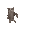 z_KittyEmote