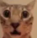 shocked