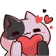SPCCatLove SPCCatLove
