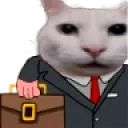 catbusiness